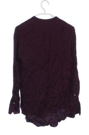 Damenbluse Zara, Größe XS, Farbe Lila, Preis € 10,99