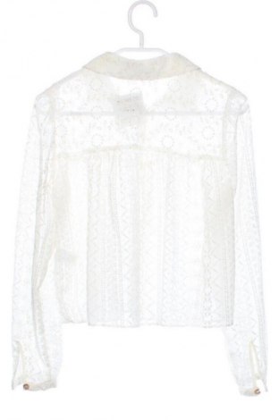 Damenbluse Zara, Größe XS, Farbe Ecru, Preis € 10,99