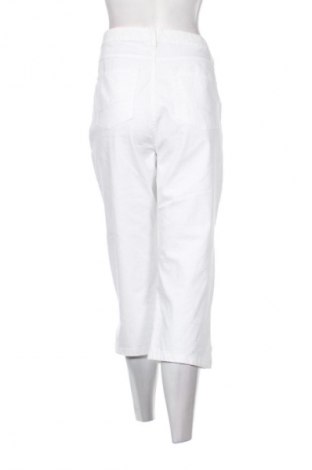 Damen Jeans Stooker, Größe XXL, Farbe Mehrfarbig, Preis 14,74 €