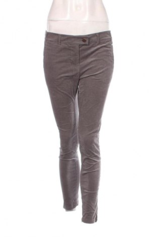 Damen Cordhose Stefanel, Größe L, Farbe Grau, Preis € 17,99