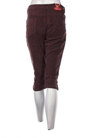 Damen Cordhose Sunbird, Größe XL, Farbe Braun, Preis € 15,99