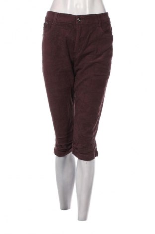 Damen Cordhose Sunbird, Größe XL, Farbe Braun, Preis € 15,99