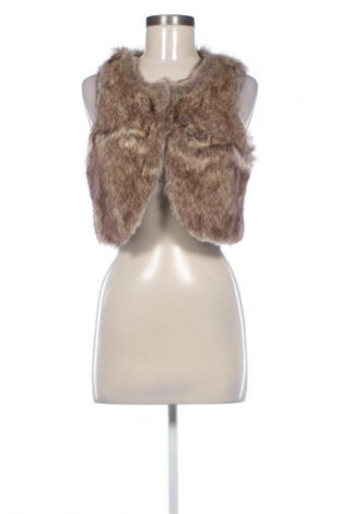 Vestă de femei Fishbone, Mărime S, Culoare Multicolor, Preț 104,00 Lei