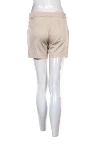 Damen Shorts Hallhuber, Größe M, Farbe Beige, Preis € 24,55
