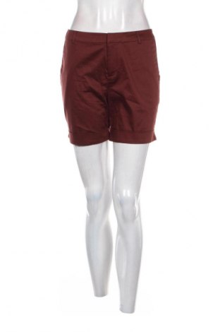 Damen Shorts Scotch & Soda, Größe M, Farbe Rot, Preis € 38,36