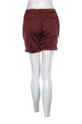 Damen Shorts Scotch & Soda, Größe M, Farbe Rot, Preis € 38,36