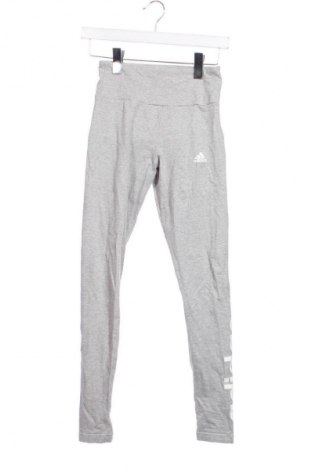 Damen Leggings Adidas, Größe XXS, Farbe Mehrfarbig, Preis € 17,39