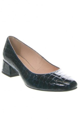 Damenschuhe Sergio Bardi, Größe 37, Farbe Blau, Preis 53,99 €