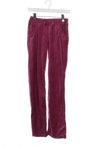 Damenhose Blue Motion, Größe XS, Farbe Rot, Preis € 20,00