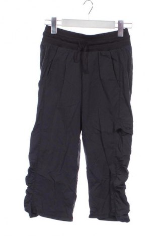 Damskie spodnie Champion, Rozmiar XS, Kolor Kolorowy, Cena 112,53 zł