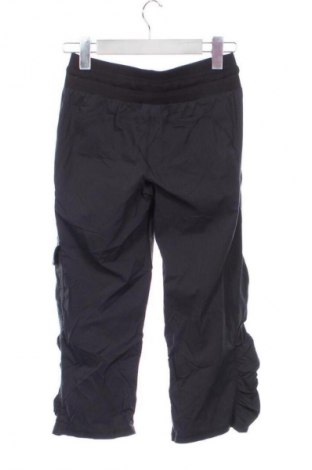 Damskie spodnie Champion, Rozmiar XS, Kolor Kolorowy, Cena 112,53 zł