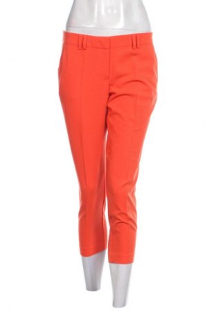 Damenhose Dorothy Perkins, Größe M, Farbe Orange, Preis € 24,55