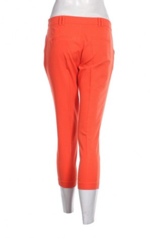 Damenhose Dorothy Perkins, Größe M, Farbe Orange, Preis € 24,55