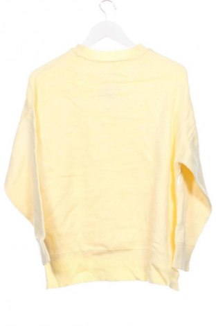 Damenpullover Anko, Größe M, Farbe Gelb, Preis € 9,99