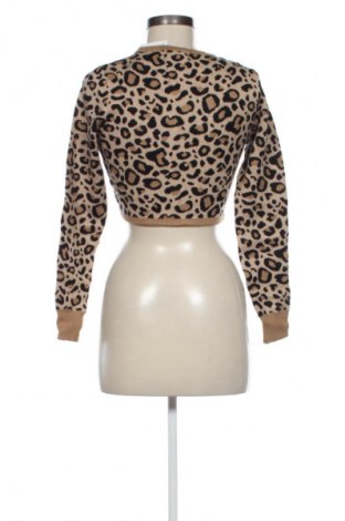 Damenpullover Fashion nova, Größe S, Farbe Mehrfarbig, Preis € 6,99