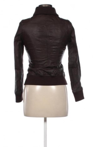 Damen Lederjacke Cordon, Größe XS, Farbe Braun, Preis 66,56 €