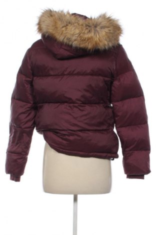 Damenjacke Clockhouse, Größe S, Farbe Rot, Preis € 25,99