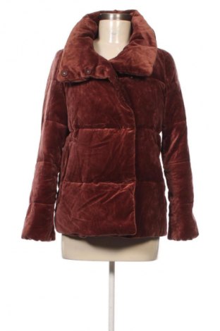 Damenjacke Massimo Dutti, Größe XS, Farbe Braun, Preis € 75,99