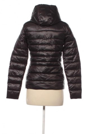 Damenjacke My Hailys, Größe S, Farbe Schwarz, Preis € 10,99