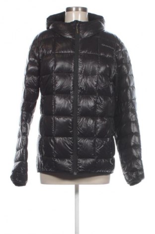 Damenjacke Quechua, Größe L, Farbe Schwarz, Preis € 14,99