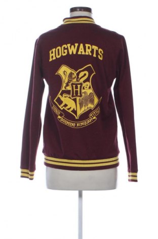 Női dzseki Sinsay, Méret M, Szín Sokszínű, Ár 10 331 Ft