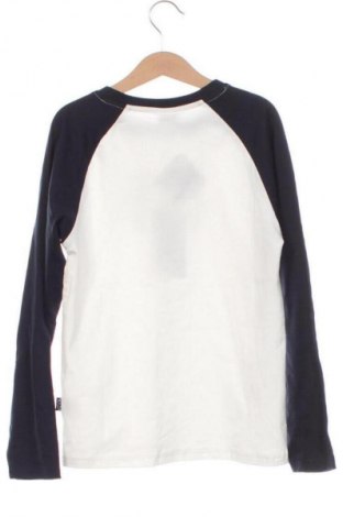 Dětská halenka  Ativo Kids, Velikost 9-10y/ 140-146 cm, Barva Vícebarevné, Cena  857,00 Kč