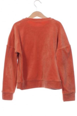 Kinder Shirt Coccodrillo, Größe 7-8y/ 128-134 cm, Farbe Braun, Preis € 5,75