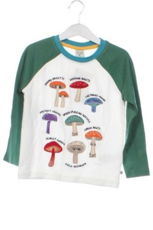 Kinder Shirt Frugi, Größe 3-4y/ 104-110 cm, Farbe Mehrfarbig, Preis € 27,99