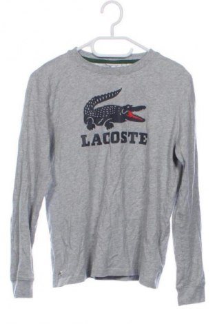 Kinder Shirt Lacoste, Größe 12-13y/ 158-164 cm, Farbe Grau, Preis € 27,99