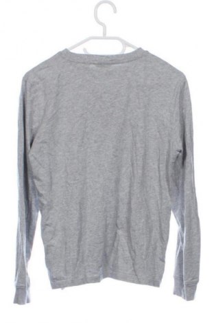 Kinder Shirt Lacoste, Größe 12-13y/ 158-164 cm, Farbe Grau, Preis € 27,99