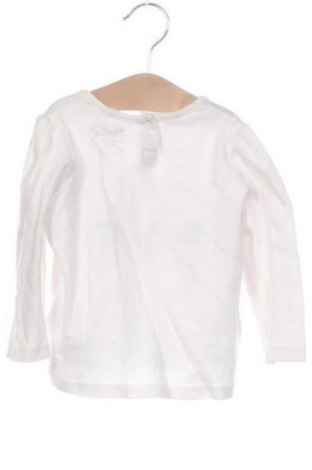 Kinder Shirt Lupilu, Größe 12-18m/ 80-86 cm, Farbe Weiß, Preis € 6,99
