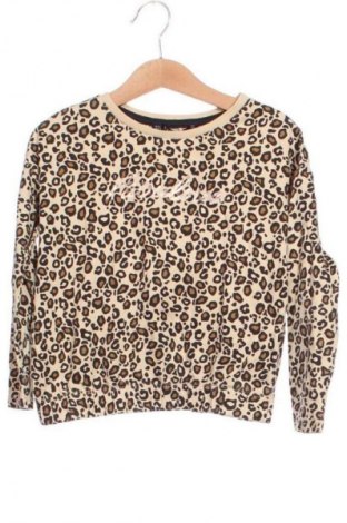 Kinder Shirt Terranova, Größe 3-4y/ 104-110 cm, Farbe Mehrfarbig, Preis € 6,99