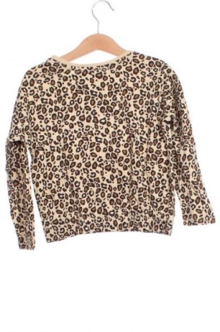 Kinder Shirt Terranova, Größe 3-4y/ 104-110 cm, Farbe Mehrfarbig, Preis € 6,99