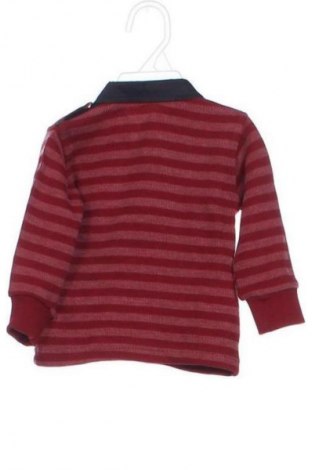 Kinder Shirt Unbranded, Größe 2-3m/ 56-62 cm, Farbe Mehrfarbig, Preis € 6,00