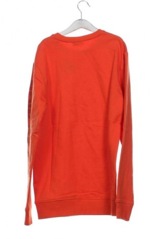 Kinder Shirt Unbranded, Größe 12-13y/ 158-164 cm, Farbe Orange, Preis € 10,74