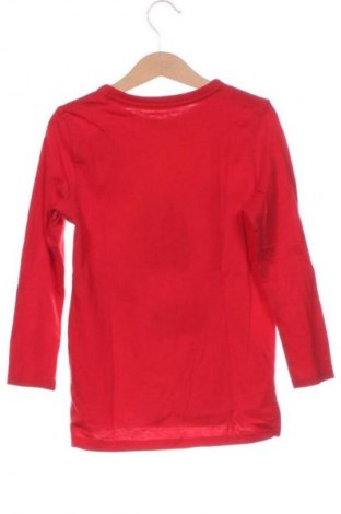 Детска блуза Unbranded, Размер 4-5y/ 110-116 см, Цвят Многоцветен, Цена 6,00 €