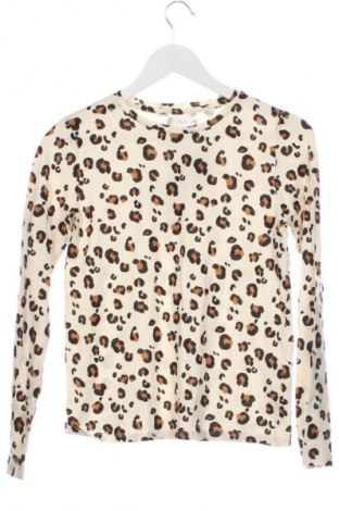 Kinder Shirt Zara, Größe 13-14y/ 164-168 cm, Farbe Mehrfarbig, Preis € 14,99