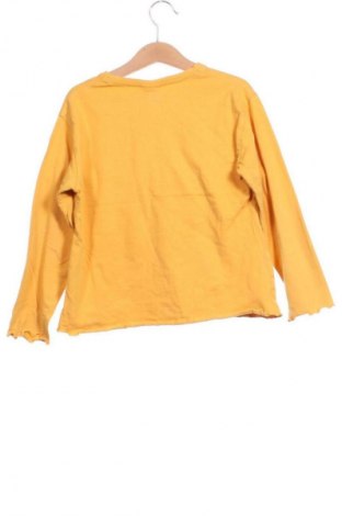 Kinder Shirt Zara, Größe 6-7y/ 122-128 cm, Farbe Mehrfarbig, Preis € 7,09