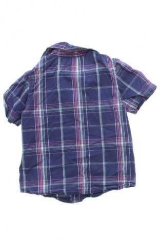 Kinderhemd Mexx, Größe 12-18m/ 80-86 cm, Farbe Mehrfarbig, Preis 11,99 €