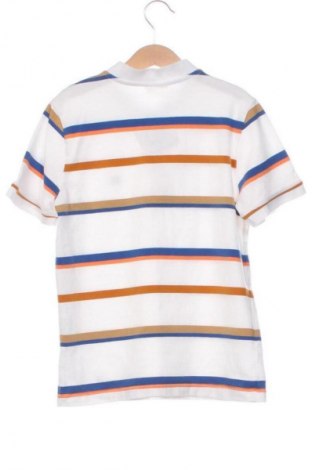 Детска тениска Coccodrillo, Размер 8-9y/ 134-140 см, Цвят Многоцветен, Цена 5,76 €