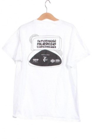 Dziecięcy T-shirt Fruit Of The Loom, Rozmiar 8-9y/ 134-140 cm, Kolor Kolorowy, Cena 24,99 zł