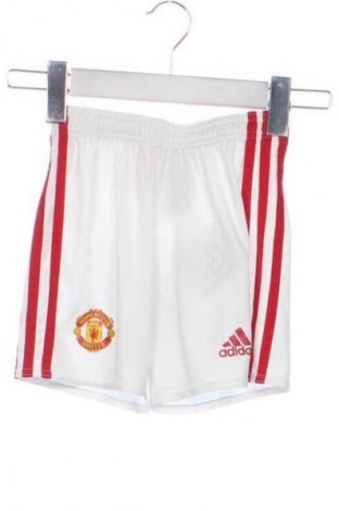 Детски къс панталон Adidas, Размер 4-5y/ 110-116 см, Цвят Многоцветен, Цена 6,13 €