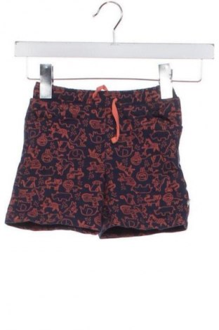 Детски къс панталон Liegelind, Размер 18-24m/ 86-98 см, Цвят Многоцветен, Цена 6,64 €