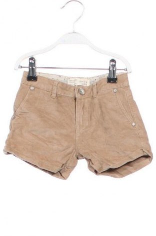 Детски къс панталон Zara, Размер 2-3y/ 98-104 см, Цвят Кафяв, Цена 4,60 €