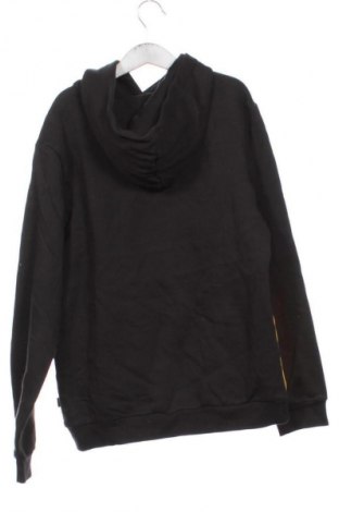 Kinder Sweatshirts PUMA, Größe 13-14y/ 164-168 cm, Farbe Mehrfarbig, Preis € 21,99