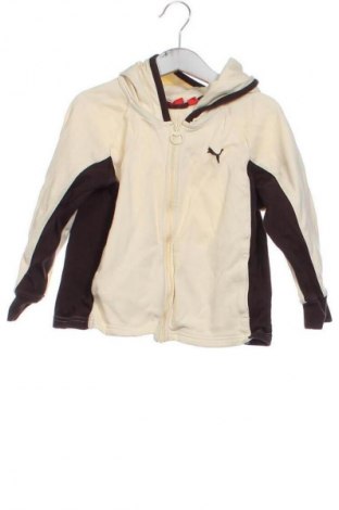 Kinder Sweatshirts PUMA, Größe 3-6m/ 62-68 cm, Farbe Beige, Preis € 21,00
