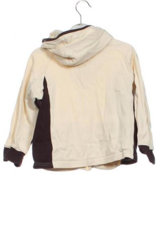 Kinder Sweatshirts PUMA, Größe 3-6m/ 62-68 cm, Farbe Beige, Preis € 21,00