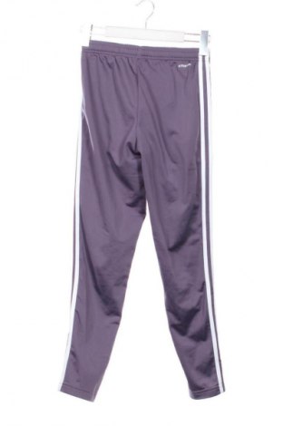 Παιδική κάτω φόρμα Adidas, Μέγεθος 10-11y/ 146-152 εκ., Χρώμα Βιολετί, Τιμή 18,99 €
