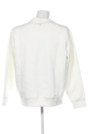 Herren Shirt Champion, Größe L, Farbe Ecru, Preis € 33,99