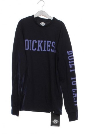 Herren Shirt Dickies, Größe XS, Farbe Blau, Preis € 17,66